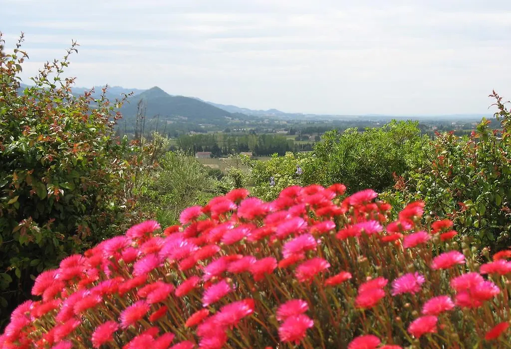 B&B La Cigaline-1
