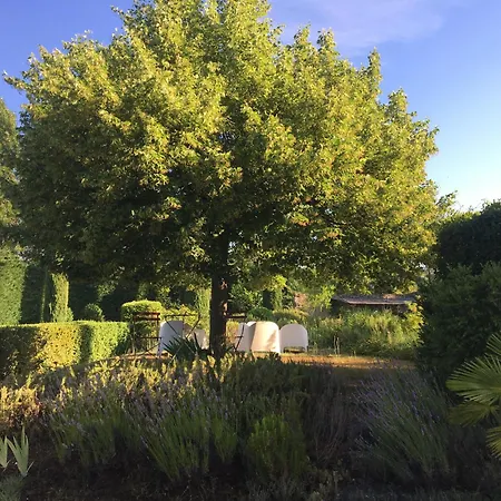 B&B Petite Maison Le Jardin-3